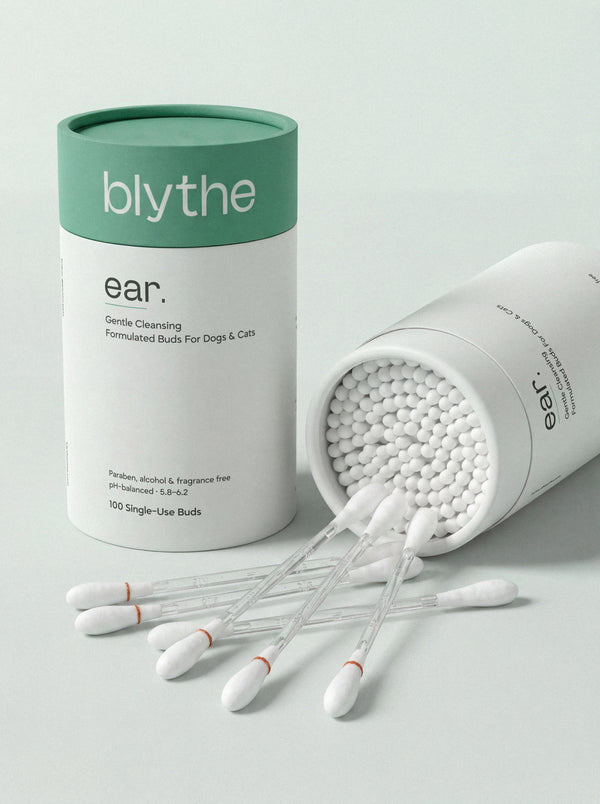blythe ear.
