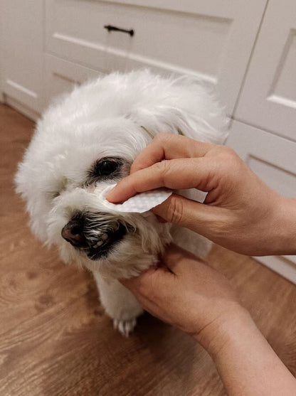 blythe clear tear-stain clarifying wipes for dogs and cats